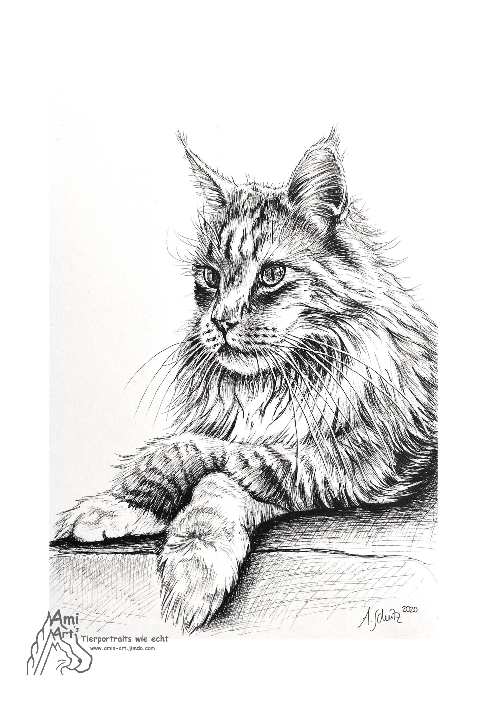 Maine Coon, Pigmentliner, A5. 