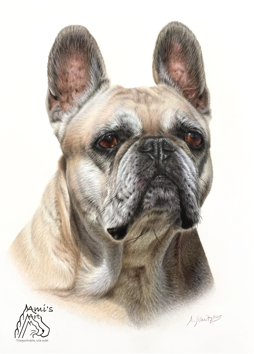 Hundeportrait gezeichnet von Ami Schütz.