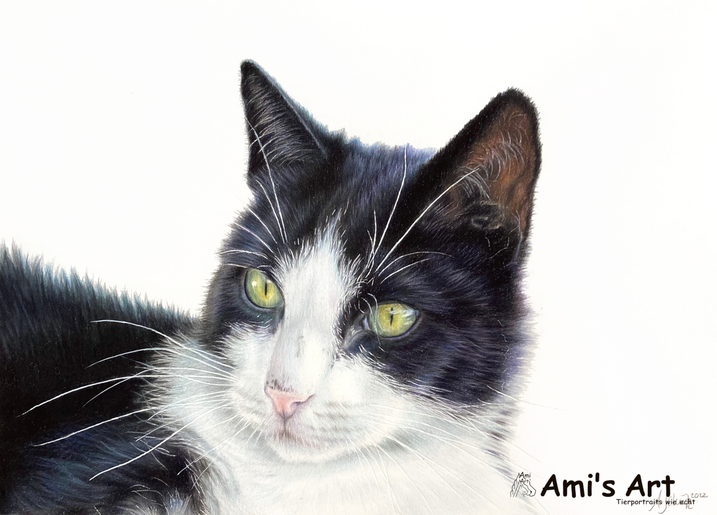Katzenportrait, gezeichnet mit Buntstiften von Ami Schütz