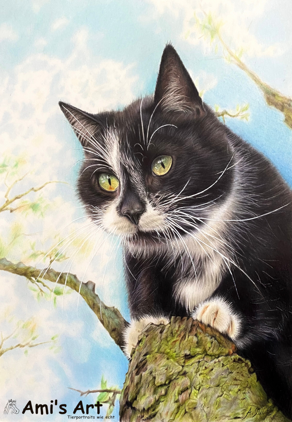 Katzenportrait, gezeichnet mit Buntstiften von Ami Schütz