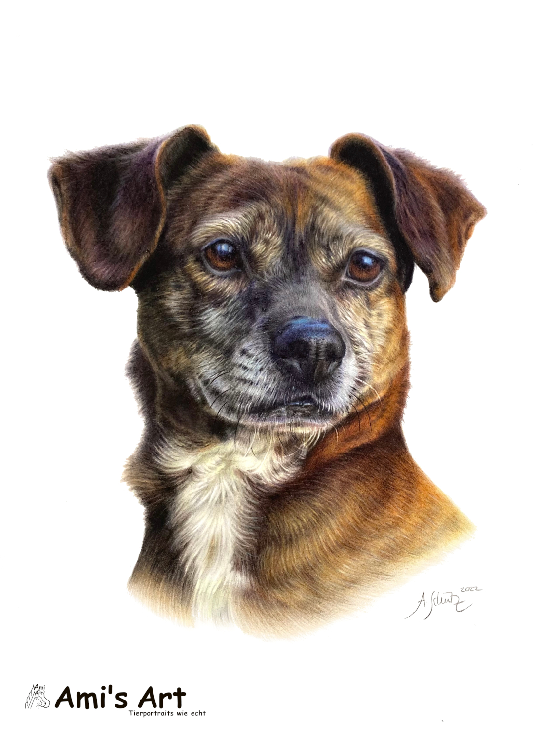 Staffordshirebullterrier-Mix Puka, A4.