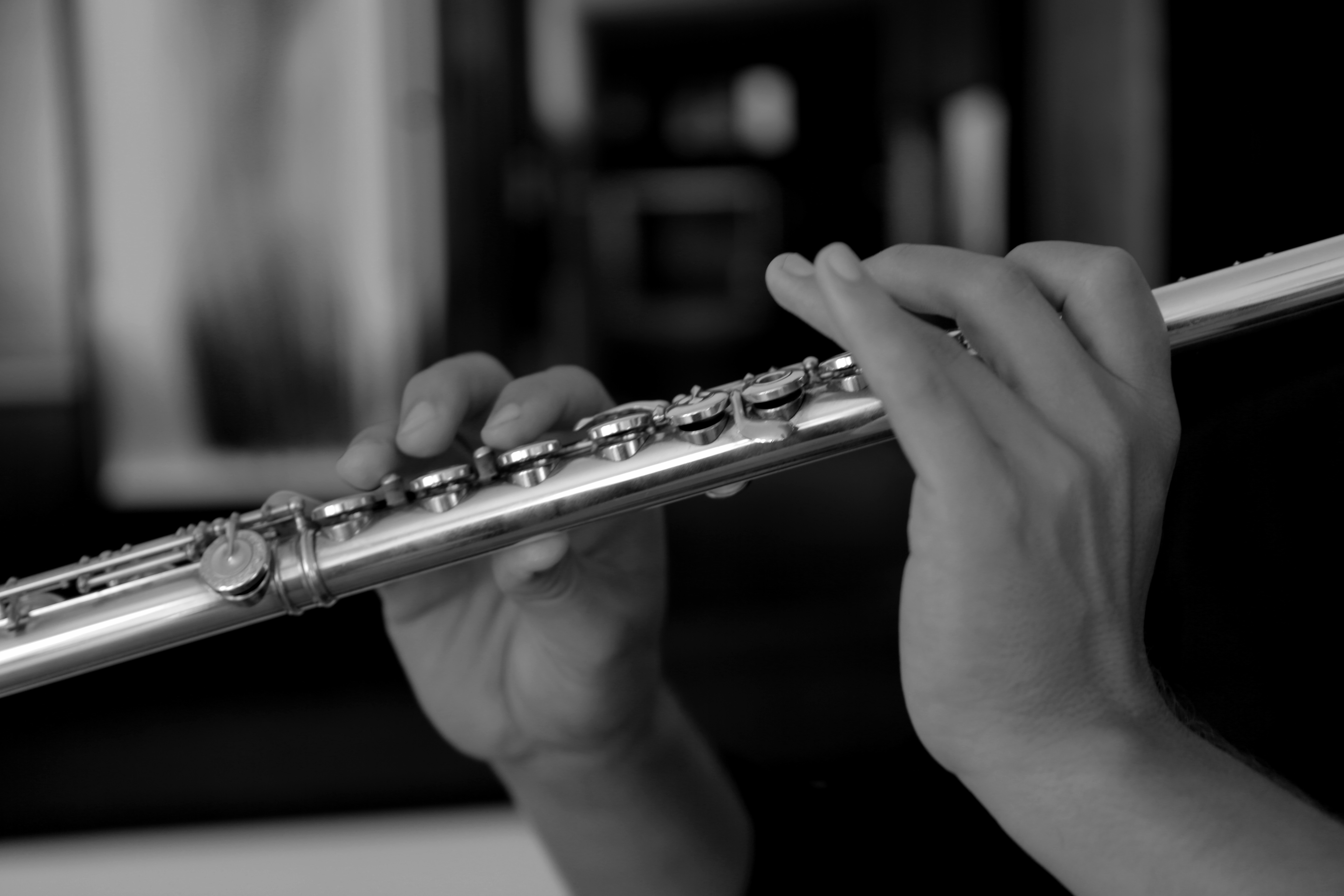 Flutes for beginners Querflötenladen Hamburg Querflöte kaufen in