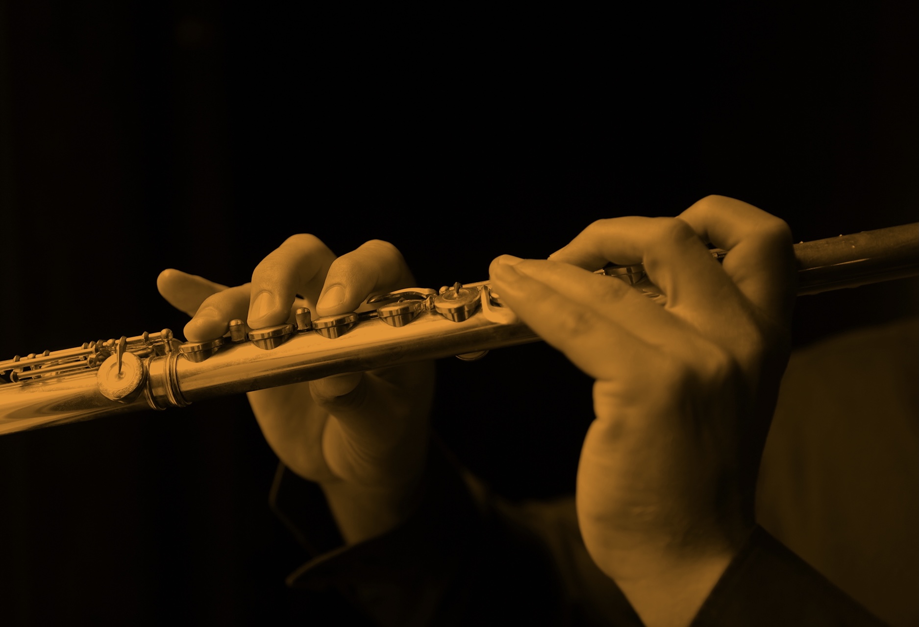 Flutes for progessives Querflötenladen Hamburg Querflöte kaufen in