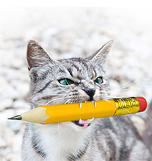 Katze mit Bleistift, Ateliertiger in Perchtoldsdorf, Bildbearbeitung