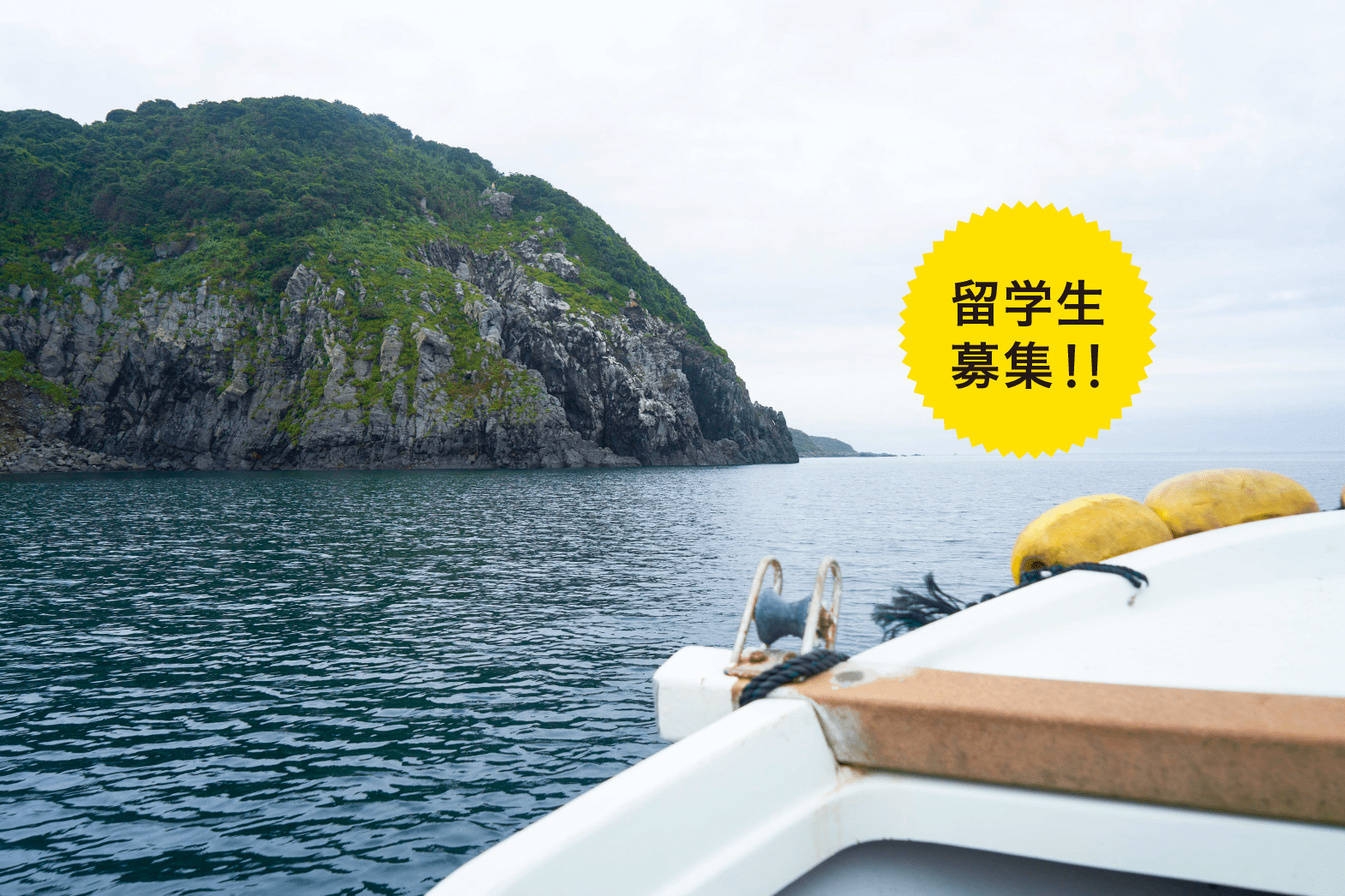 からつ七つの島 お問い合わせ ななつの島で 宝さがし留学 からつ七つの島 お問い合わせ ななつの島で 宝さがし留学