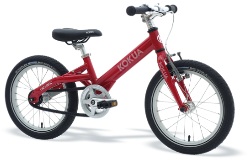 Kinderräder 12 bis 20 RAIDER Fahrrad Sport Service Bulls Tokee 24 zoll Mädchen Fahrrad in 88299 Leutkirch im