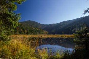 Wandern Bayerischer Wald