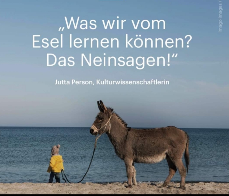 Der Esel als Stellvertreter - Familienaufstellung