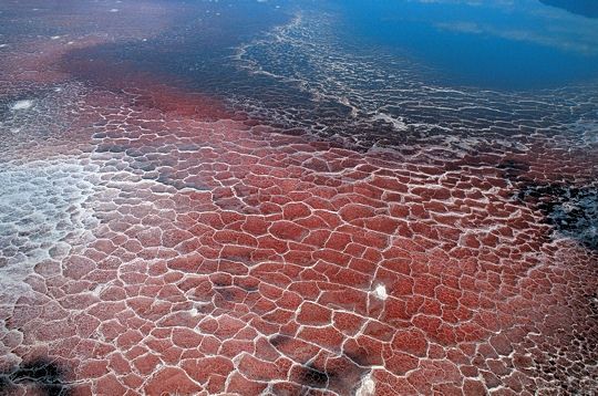 Lac Natron