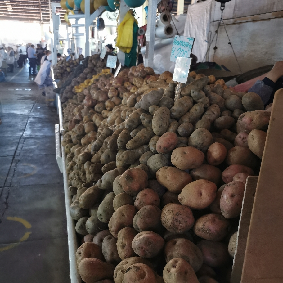 In Peru gibt es zig Kartoffelsorten