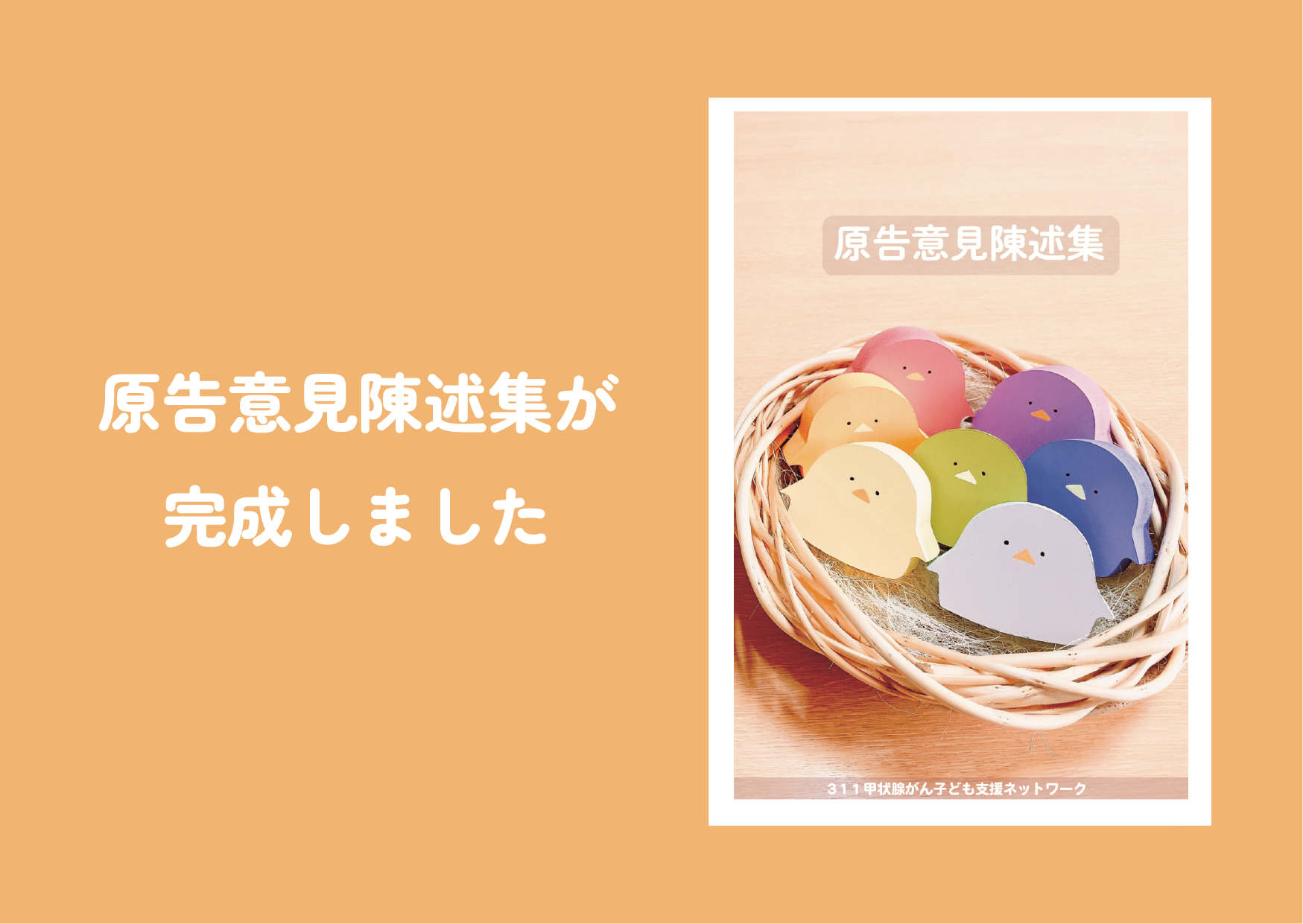 原告意見陳述集が完成しました！