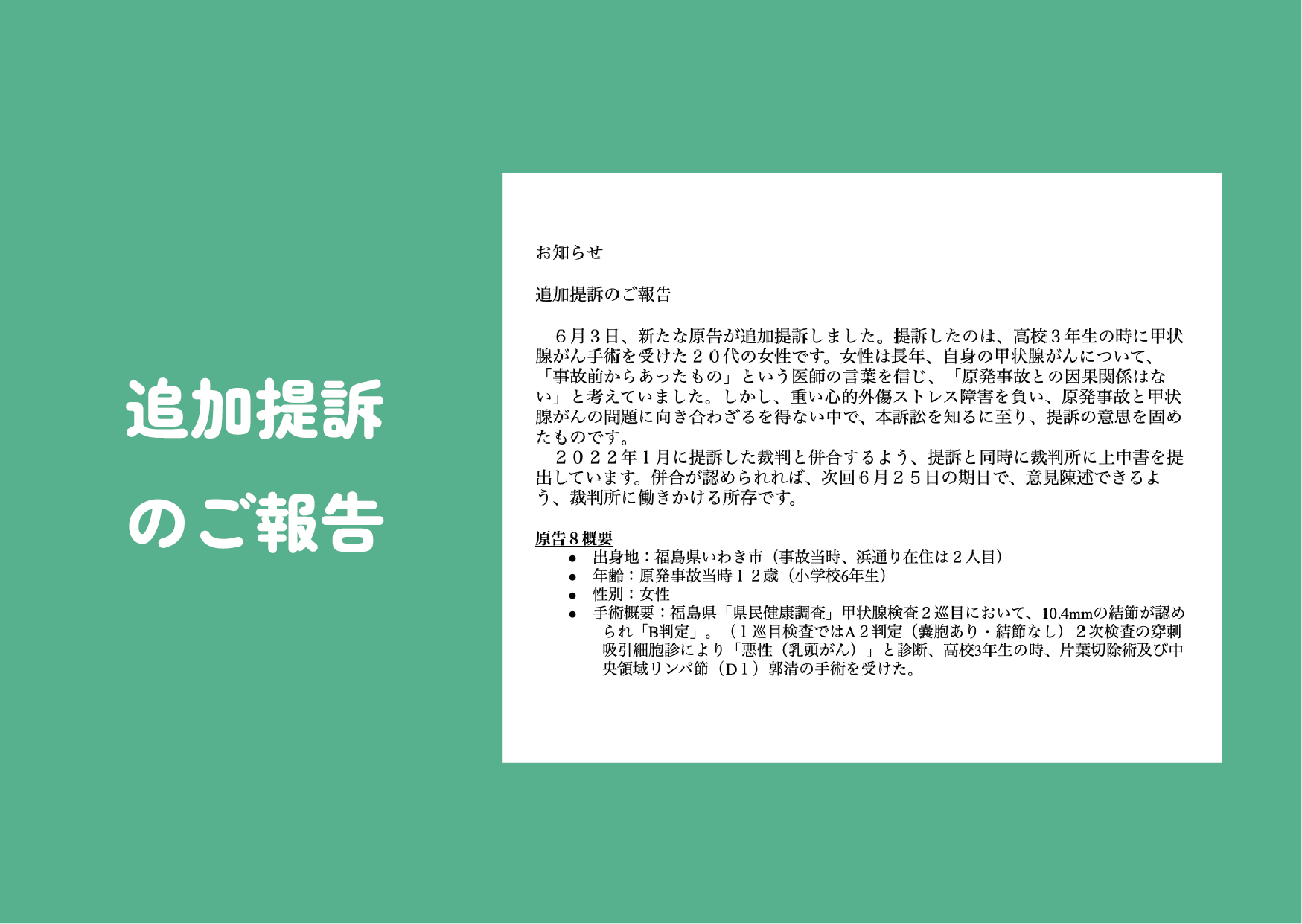 追加提訴のご報告