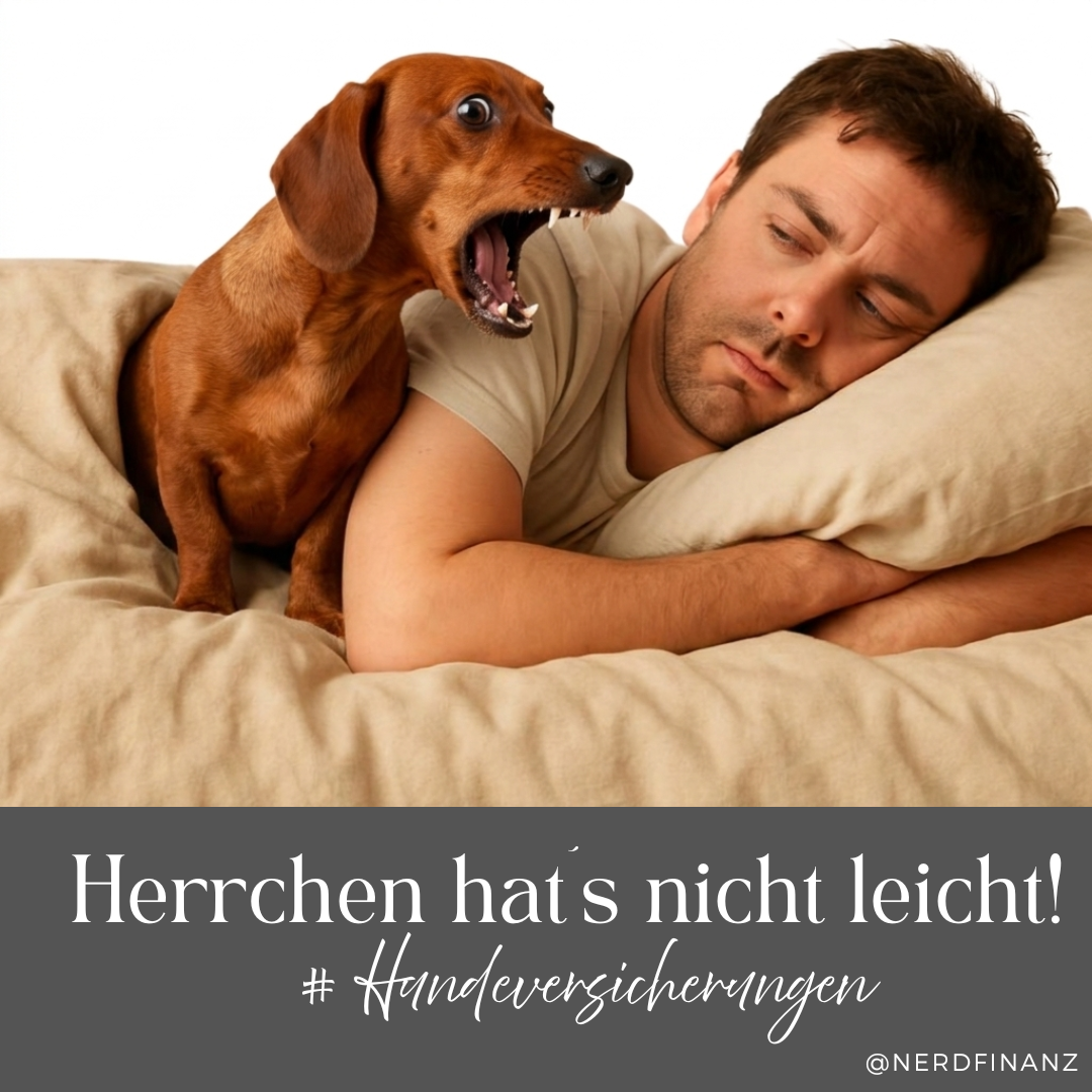 Herrchen hat’s nicht leicht – ein ganz normaler Tag mit Hund Bruno