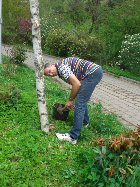 Frank macht den Baum fest