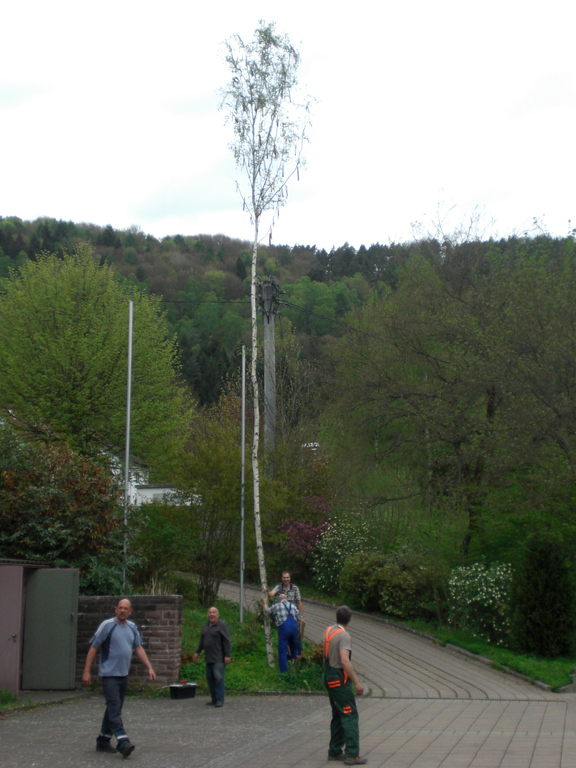 steht