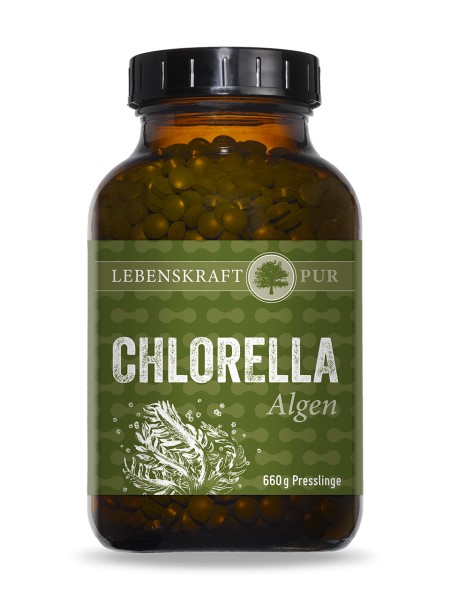Beispiel Artikel: Chlorella