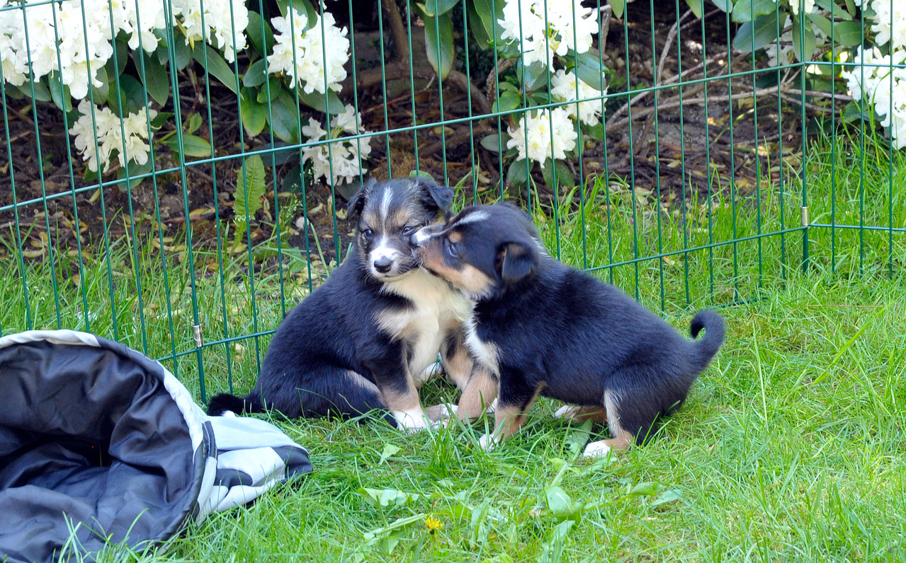 Brax und Juli