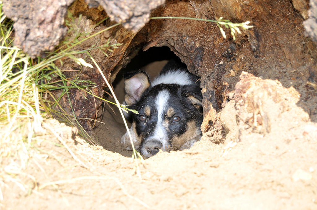 Anton hat die Höhle besetzt