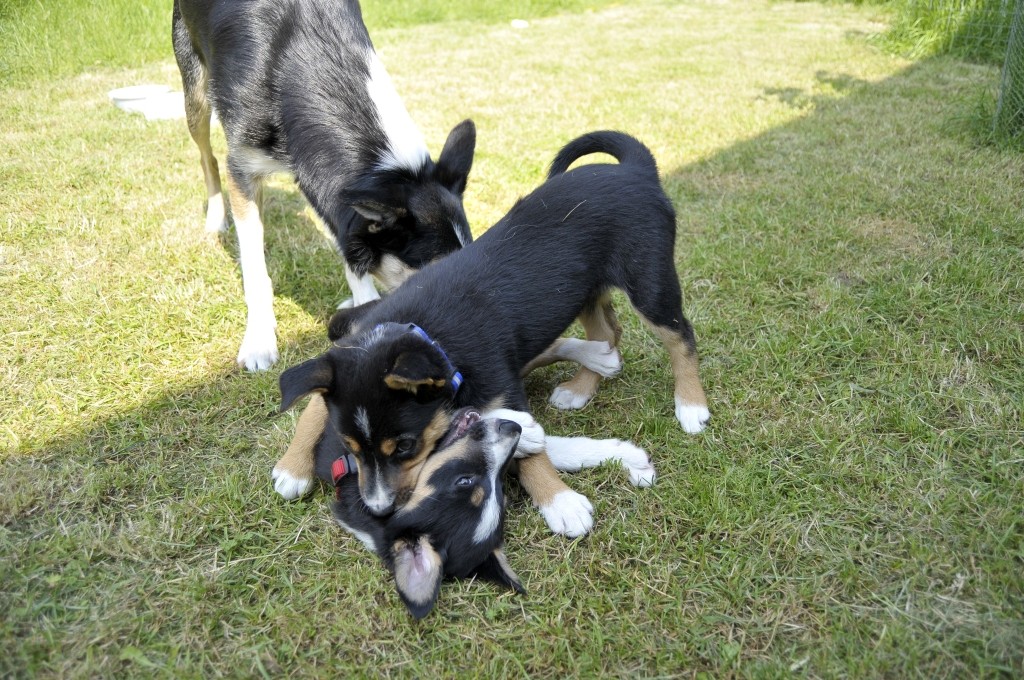 Juli und Anton