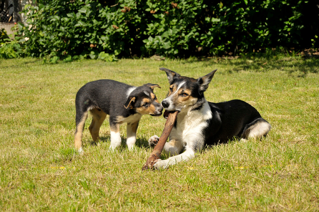 Juli mit Tess