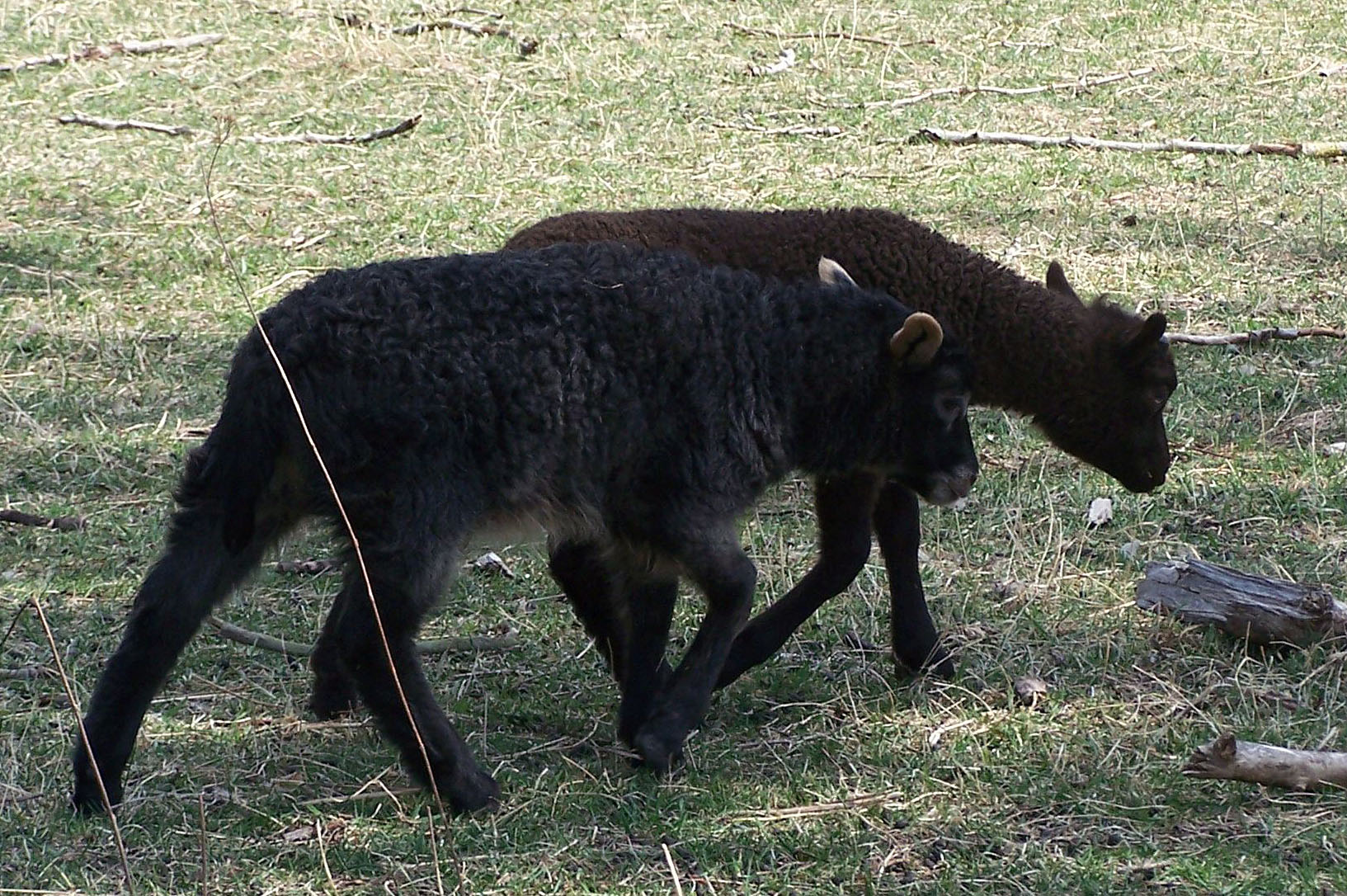 Anouk und Erik