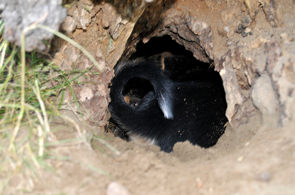 Juli in der Höhle