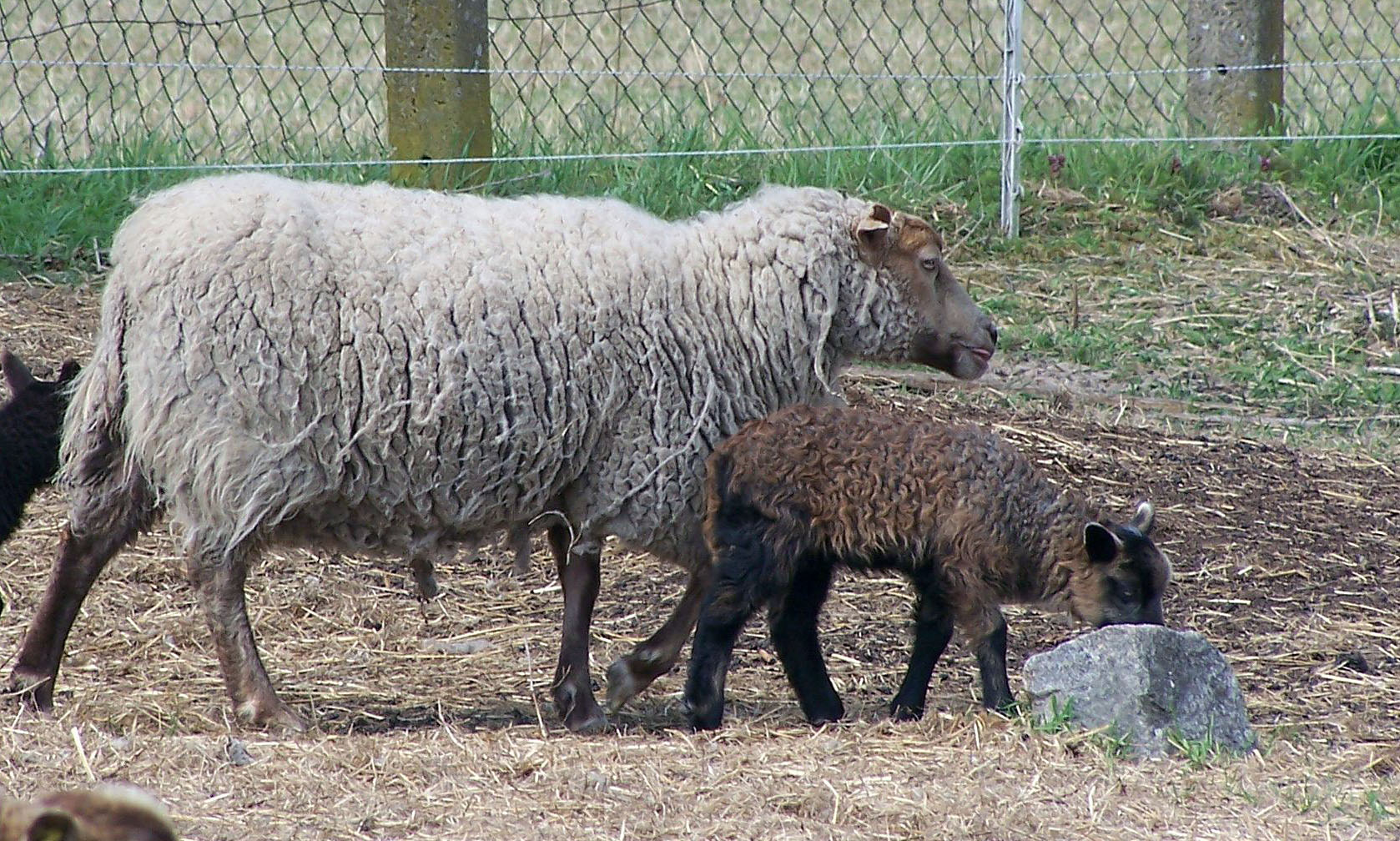 Fenja mit Mutter Thea