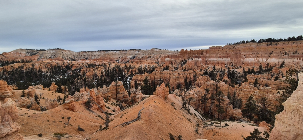 Upper Horse Trail