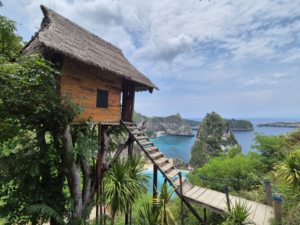 📍Rumah Pohon "Tree House"