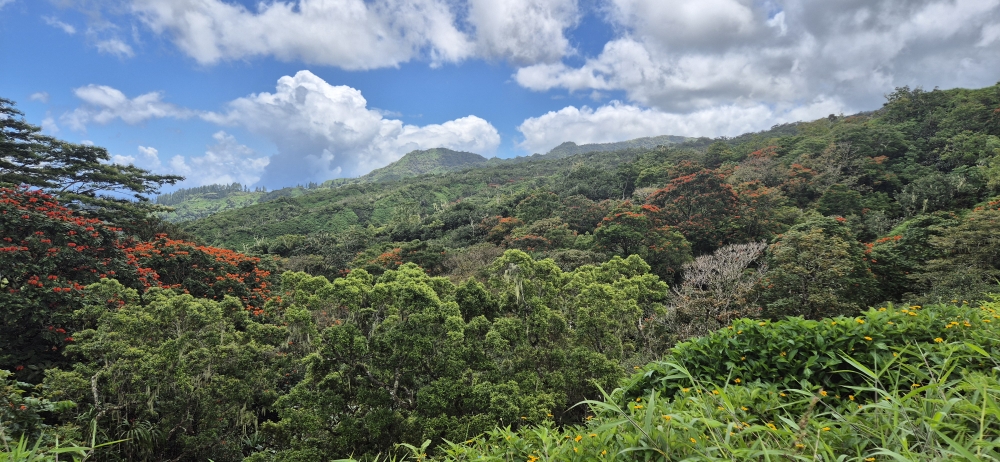 Mount Marau