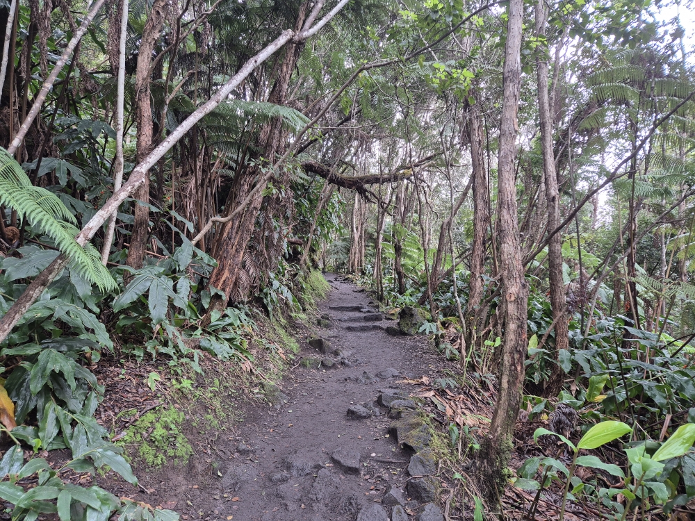 📍Kīlauea Iki Trail
