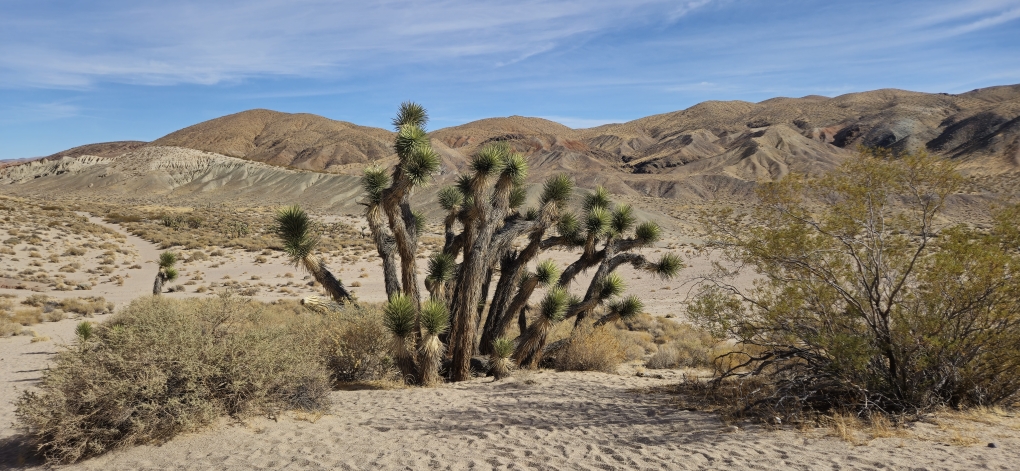 📍Red Rock Canyon State Park