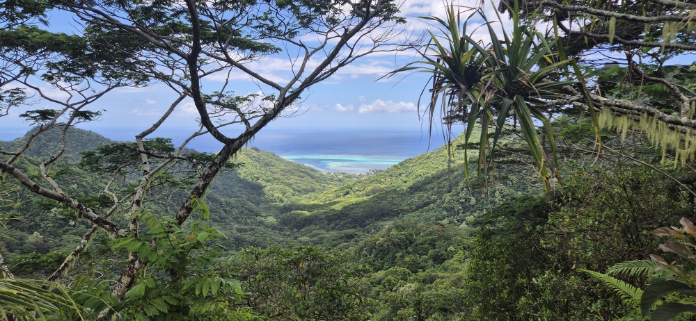Three Coconuts Lookout