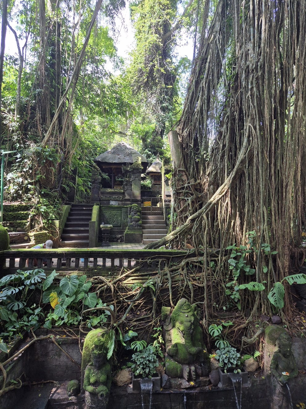 @ Monkey Forest