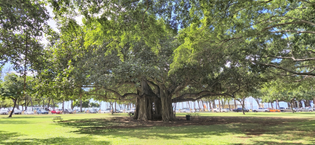 📍Kapiolani Park