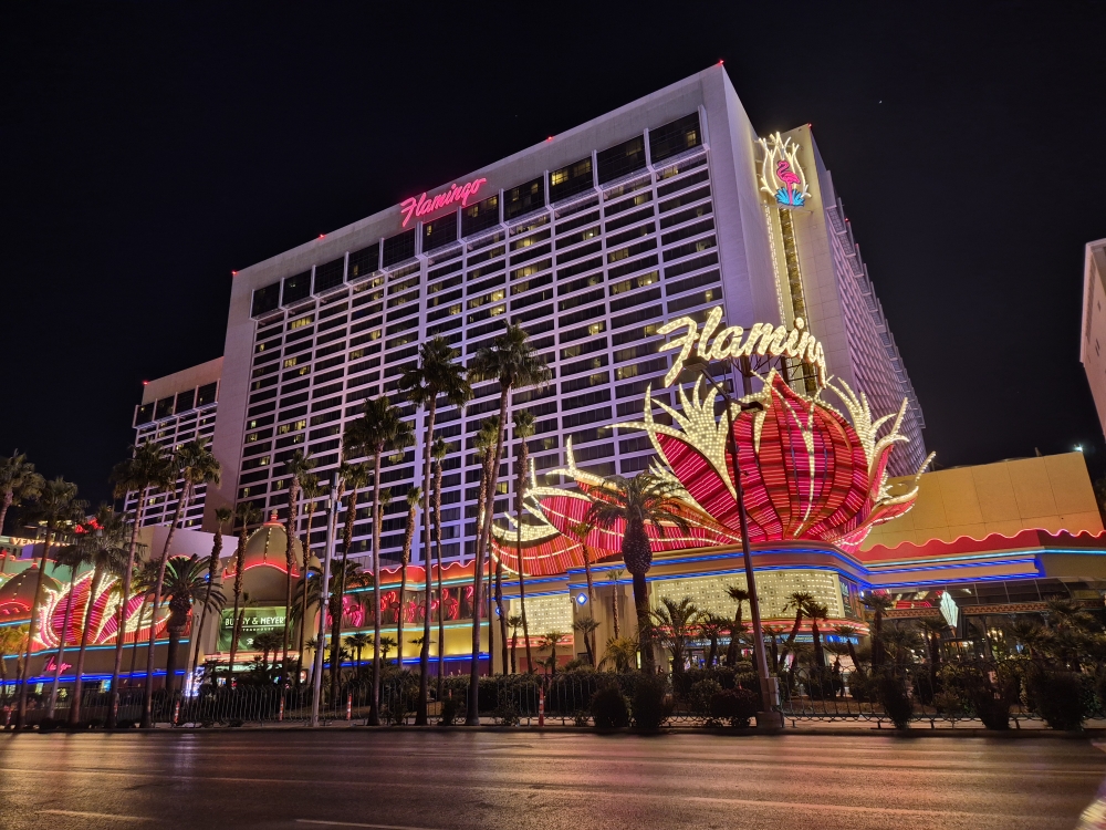 Casino Flamingo