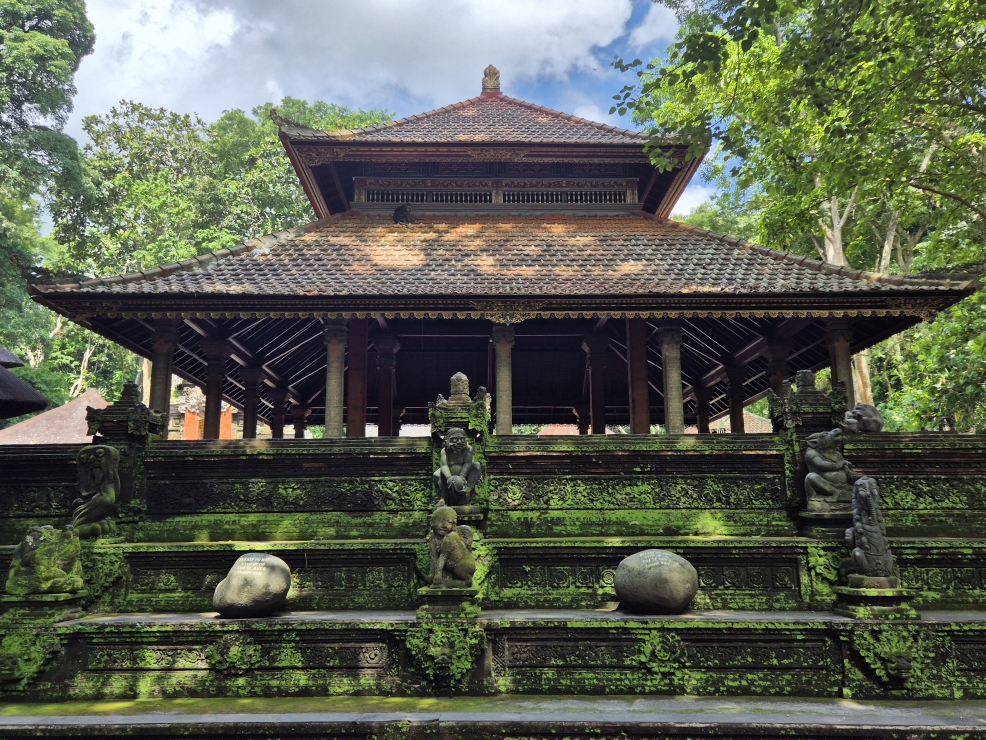 @ Monkey Forest