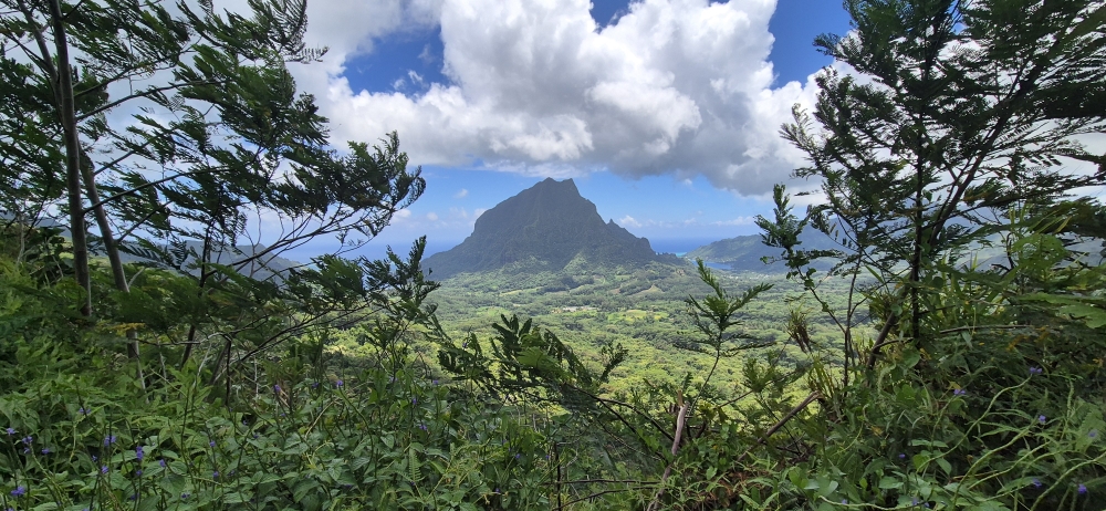 Three Coconuts Lookout