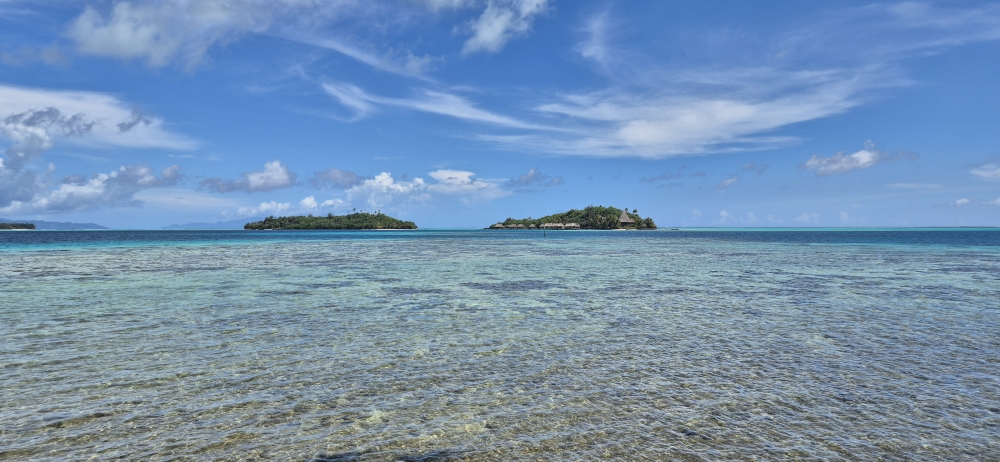 Taurere Point