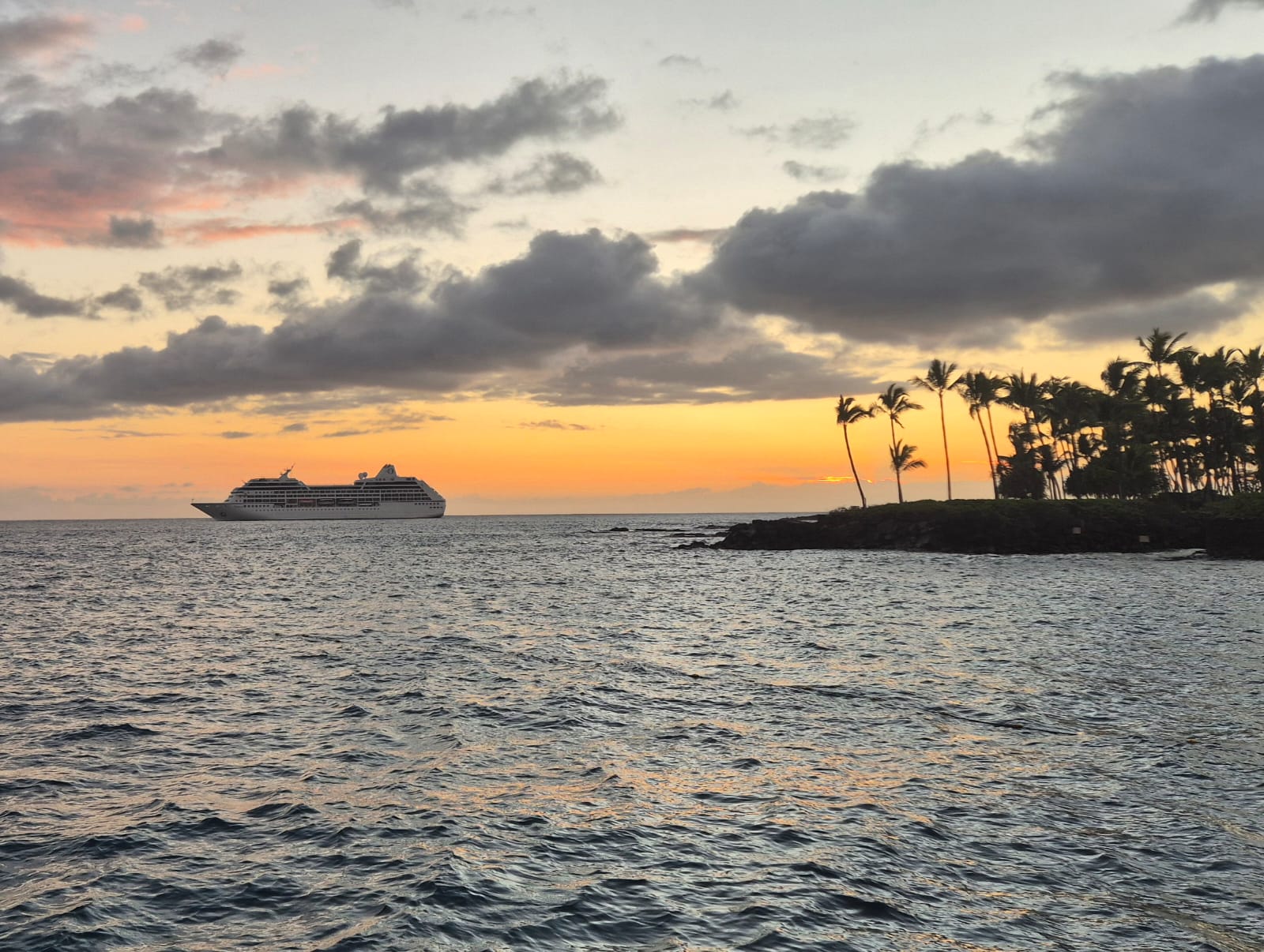 The Cruise