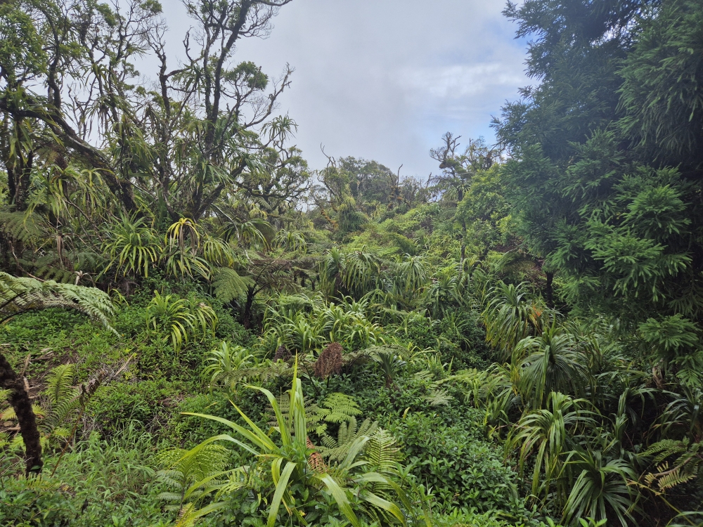 Mount Marau