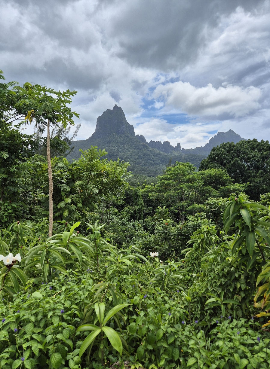 Plateau du Bounty