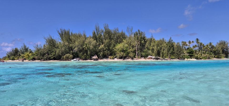 Coral Garden