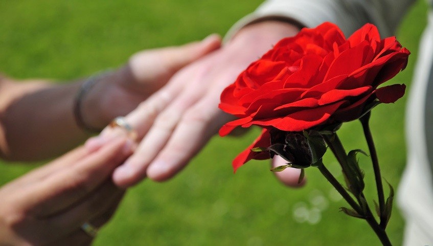 exchange of wedding rings in rosegarden