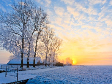 Morgenstimmung im Winter