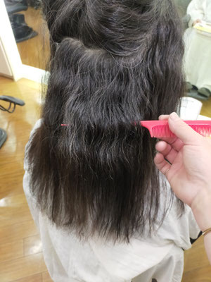 カラーと乾燥でパサついた毛先のダメージチェック