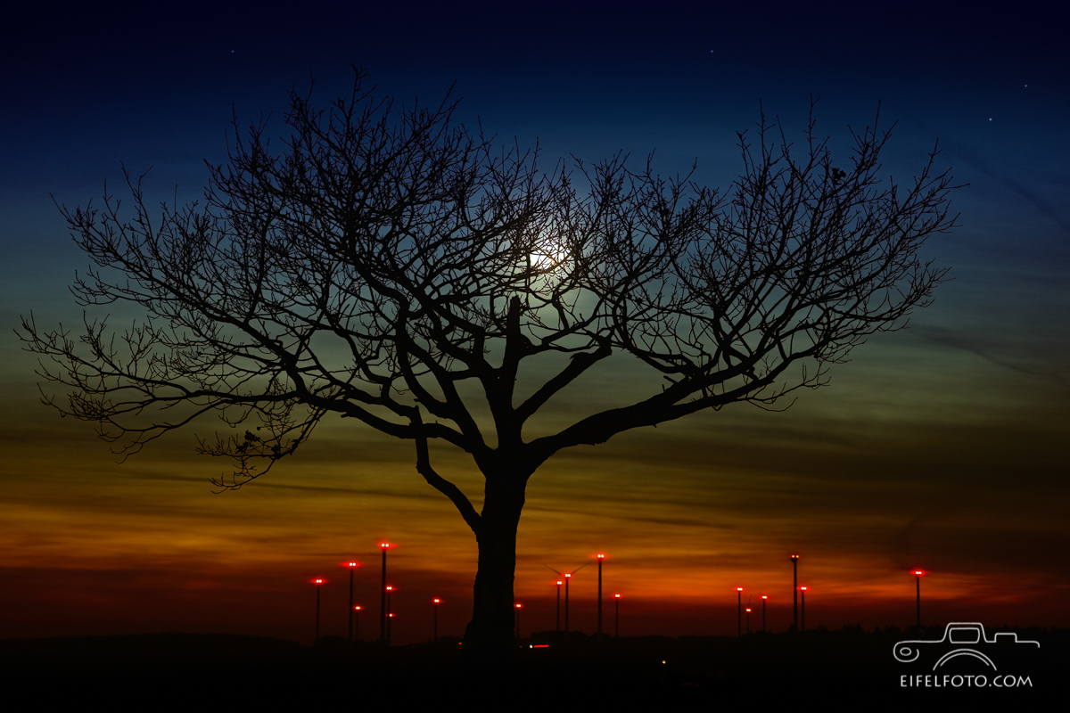 Abends am Windpark Schleiden auf den Dreiborner Höhen