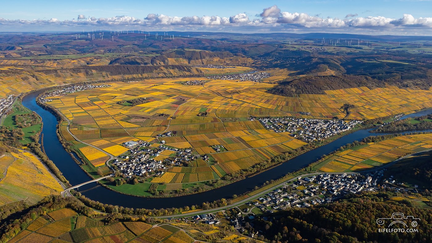 Herbst im Moseltal bei Thörnich