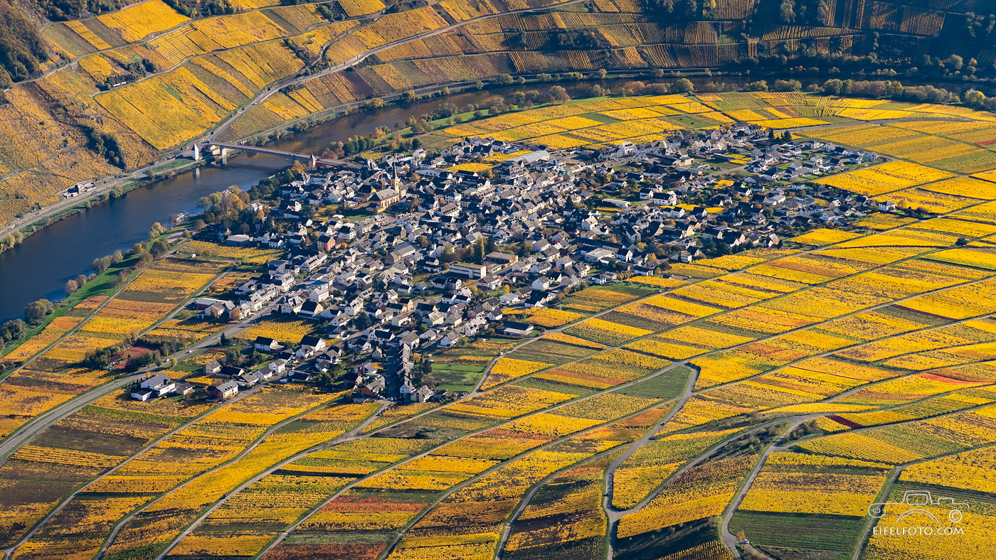Herbst bei Trittenheim an der Mosel