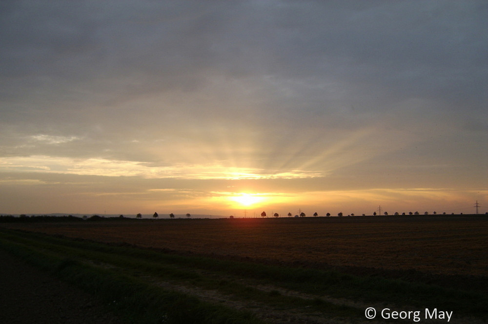 Abend auf der Keldenicher Höhe